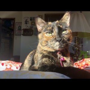 Meet your Posher, Morgan